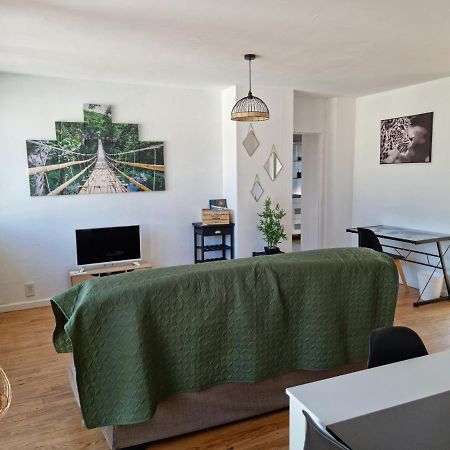 Le Belvedere Vue Pyrenees, Familiale, Centre Tarbes Apartment Bagian luar foto