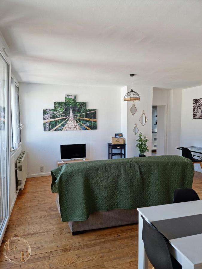 Le Belvedere Vue Pyrenees, Familiale, Centre Tarbes Apartment Bagian luar foto